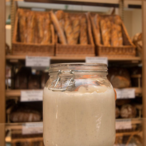 Povestea maielei Pain Plaisir