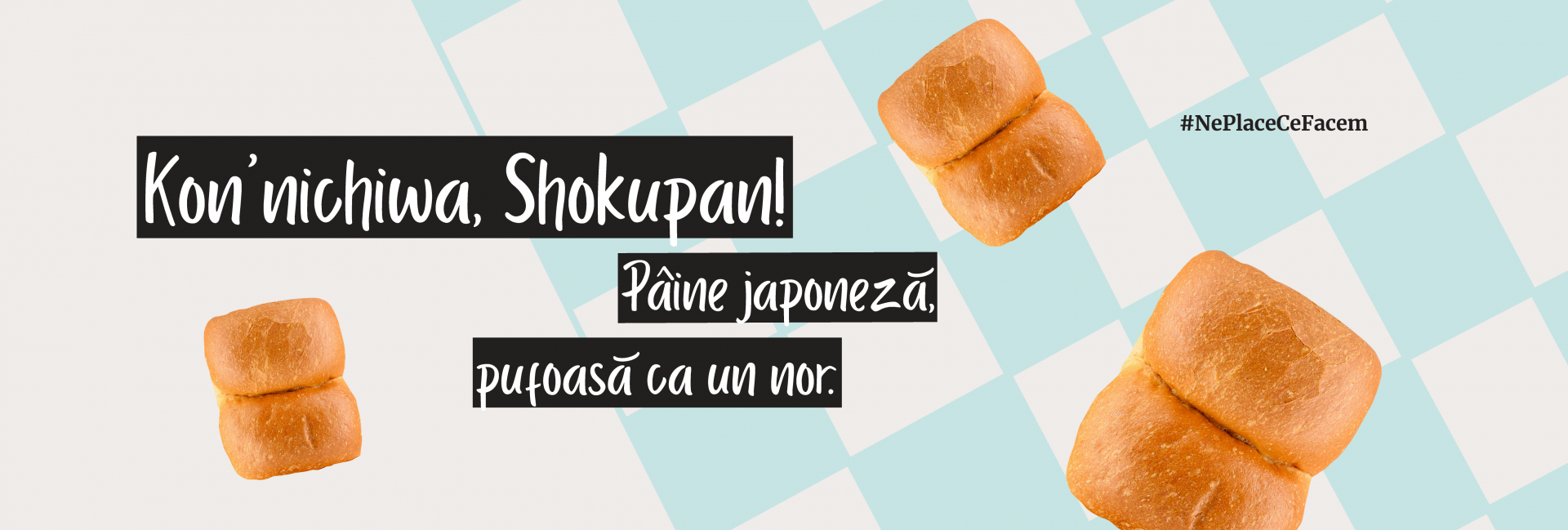 Shokupan 2025